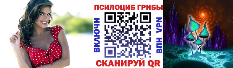 Галлюциногенные грибы Magic Shrooms  Купить закладки  Чайковский 